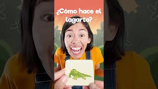 🦎 menique leon lagarto lobo videosgraciosos 123andres alfabeto aprendeespañol education [upl. by Durrace]