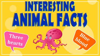 Interesting Animal Facts We Bet You Didn’t Know  Animal Facts for Kids [upl. by Ardys]