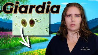 Giardia 101 Vets MustKnow Info for Pet Guardians [upl. by Josi]