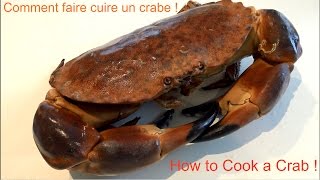 Comment Cuire un Crabe  Tourteau  Cancer Pagurus  How To Cook a Brown Crab  Bretagne  France [upl. by Feerahs]