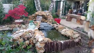 bassins de jardin lame deau cascades poissons rouges shubunkin et plantes aquatiques [upl. by Mervin665]