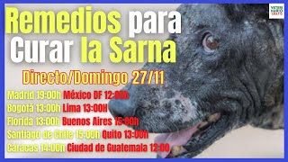 🚨 COMO CURAR LOS 6 TIPOS DE SARNA EN PERROS CON REMEDIOS CASEROS Y MEDICAMENTOS 🚨 [upl. by Enad170]