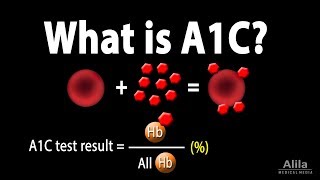 A1C Test for Diabetes Animation [upl. by Gowrie362]