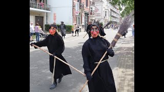 Corso de Jambes 2023  Fanfares Géants Macralles Echasseurs   HD [upl. by Lidstone]