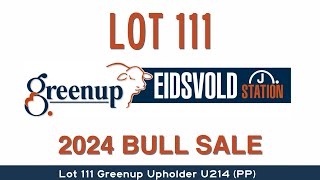 Lot 111 Greenup Upholder U214 PP [upl. by Levitus387]