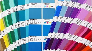 What are Pantone Colors The Guide to Color Consistency in Design [upl. by Yelrahc]