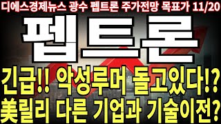 펩트론 주가전망 긴급 악성루머 돌고 있다 美릴리 다른 기업과 기술이전 feat 디에스경제뉴스 광수 목표가 [upl. by Dlarrej]