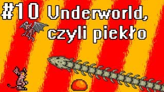 Poradnik Terraria 10  Przewodnik Po Piekle [upl. by Emawk]