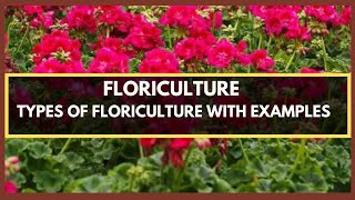 FLORICULTURE  WHAT IS FLORICULTURE TYPES OF FLORICULTURE PLANTS WITH EXAMPLES [upl. by Fineberg447]