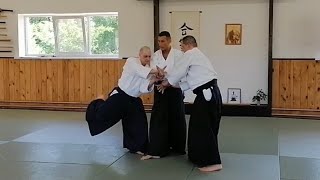 Aikido Futari dori by Daniele MONTENEGRO sensei  Velikie Luki 2023 [upl. by Ayanaj]