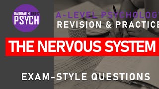 The Nervous Systems  Exam Questions amp Revision  ALevel  AQA Psychology [upl. by Stav]