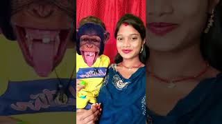 Bandar mama pahan pajama 💥💥 viral funny monkey🐒🐒 [upl. by Delwin333]