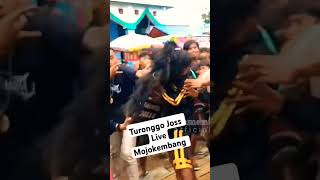 Turonggo Joss live Mojokembang [upl. by Ealasaid]