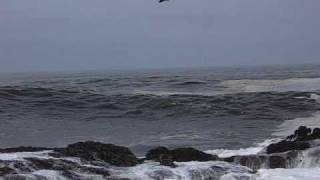 Huge Waves Crashing on the Rocks [upl. by Meghan744]