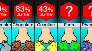 Comparison Favorite Smells [upl. by Helmer]