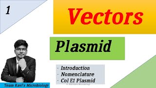 Plasmid  Clonning Vectors  ColE1 Plasmid  Hindi [upl. by Messing]