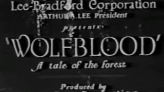 WOLFBLOOD 1925 George Chesbro  Roy Watson [upl. by Ehtnax]