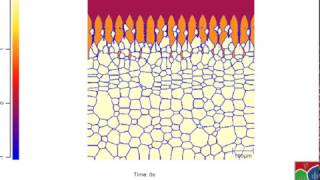 Peritectic solidification of advanced high strength steel weld pool [upl. by Darcey]