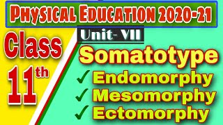 Somato Types  Endomorphy Mesomorphy and Ectomorphy  Physical Education Class 11 202021 [upl. by Enileuqkcaj659]