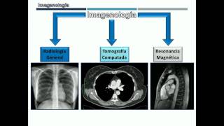 Generalidades de Imagenología para Anatomía [upl. by Daukas741]