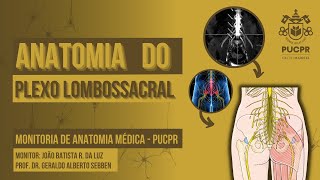 Plexo Lombossacral  Monitoria de Anatomia Médica I PUCPR [upl. by Swarts]