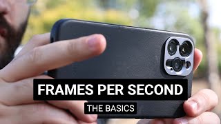 The Basics of Frames Per Second FPS  SANDMARC [upl. by Bernat]