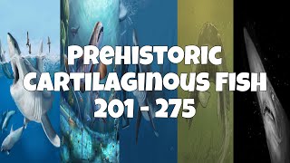 Prehistoric Cartilaginous Fish 201  275 55 [upl. by Arev596]