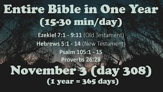 November 3  Entire Bible in One Year 15 minday audio [upl. by Luanni]