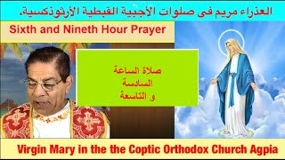 266E Virgin Mary in Coptic Orthodox Church Agpia 6th amp 9th hours prayers Bro Sami Grace [upl. by Adelbert839]