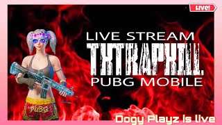 RASH GAME PLAY DOGY PLAYZ IS LIVE pubglive liveroom livestream pubglivestream [upl. by Lytsirhc348]