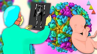 7 Cosas de BIOLOGÍA que tienes que saber hoy [upl. by Ahtar63]