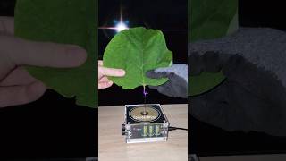 🍃 Music Tesla Coil experiment leaf shorts [upl. by Lyrem]