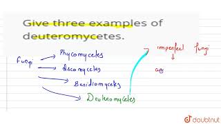 Give three examples of deuteromycetes [upl. by Salamanca]