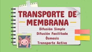 Transporte de membrana DIFUSIÓN SIMPLE  DIFUSIÓN FACILITADA ÓSMOSIS TRANSPORTE ACTIVO [upl. by Nuawed]