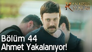 Kanatsız Kuşlar 44 Bölüm  Ahmet yakalanıyor [upl. by Housum587]