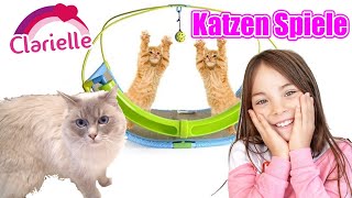 Katzenzirkus  Katzen Parkour  Spiel Aufgaben für meine Katze  Clarielle [upl. by Aihgn648]