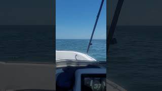 2023 Tahoe T16 in the Gulf of Mexico Crystal River Florida [upl. by Ecineg785]