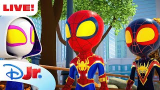 🔴 LIVE NEW SPIDEY FULL EPISODES amp SHORTS  Marvels Spidey and his Amazing Friends  disneyjr [upl. by Anigriv]