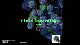 Field Recordings  Hyphae  03 Edub [upl. by Entroc875]