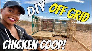 DIY OFF GRID CHICKEN COOP WE’RE GETTING CHICKENS ON OUR 50 ACRE HOMESTEAD🐣🥚 [upl. by Rexford]