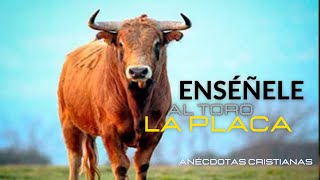 Anécdota Cristiana Para Reflexionar  Enséñale al Toro la Placa [upl. by Tav577]