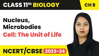 Nucleus Microbodies  Cell The Unit of Life  Class 11 Biology Chapter 8  CBSE [upl. by Asiilanna406]