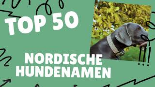 Nordische Hundenamen  Top 50 Liste [upl. by Hazrit]