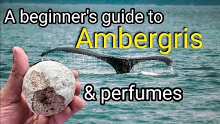 Ambergris in perfumes  A Beginners Guide [upl. by Bunow566]