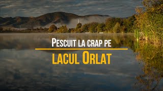 Pescuit la crap pe lacul Orlat [upl. by Benedic]