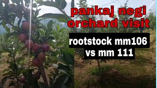 pankaj negi orchard visit rootstock mm106 vs mm111fruit quality njarapahadoca2353 [upl. by Annaeerb715]