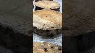 pinewood wood slices woodworking woodwork [upl. by Kurtz917]