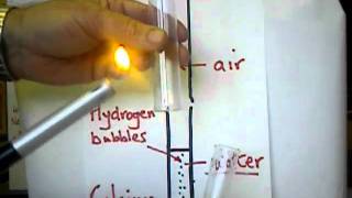 Y10 Reactivity Series  Reaction of Calcium with cold water [upl. by Magdalene]