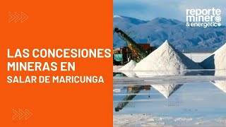 Las concesiones mineras en Salar de Maricunga [upl. by Votaw]