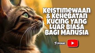 KEISTIMEWAAN amp KEHEBATAN KUCING YANG LUAR BIASA BAGI MANUSIA [upl. by Clarence559]